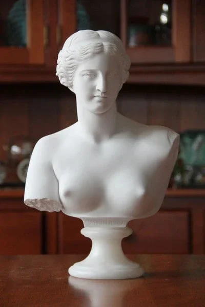 Venus De Milo Bust 13 ” High