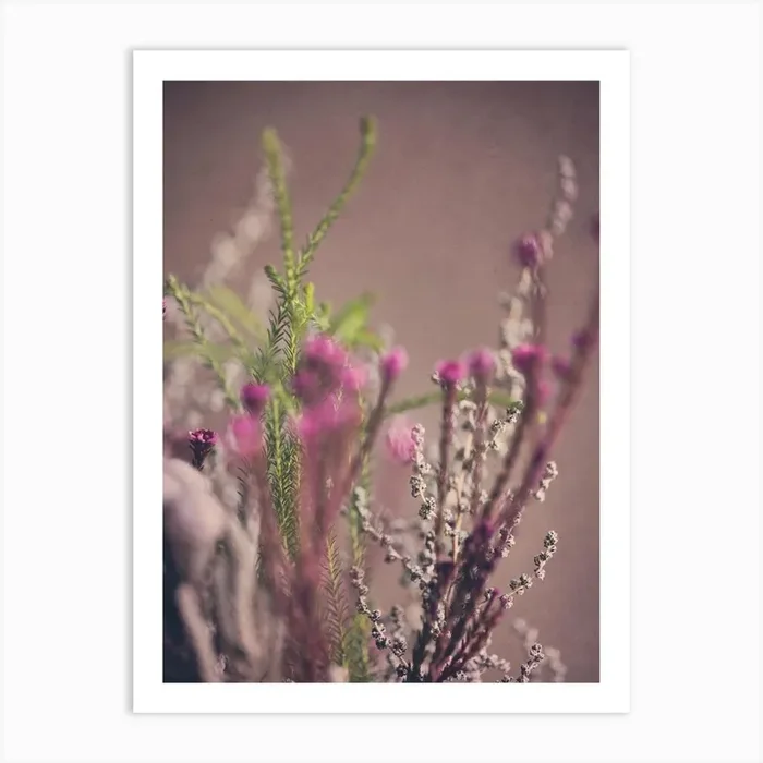 Warm Fynbos 6 Art Print by Natascha Van Niekerk