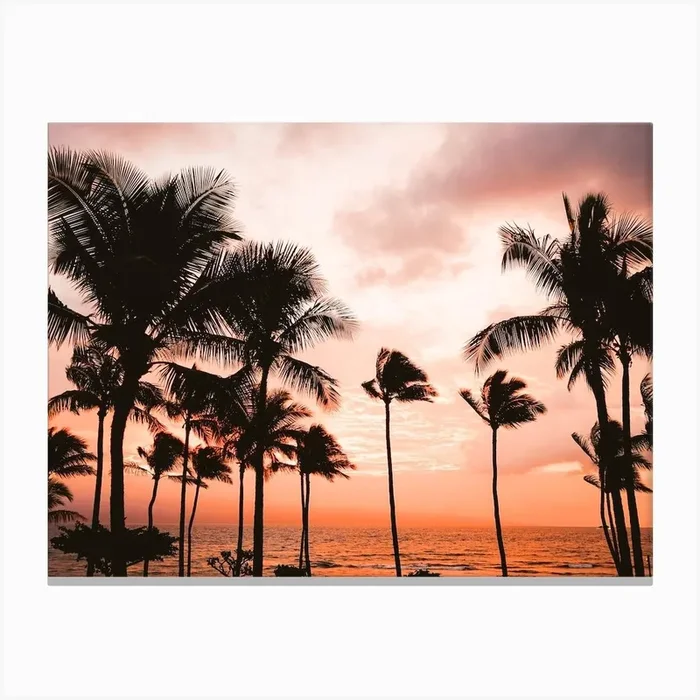Warm Summer Sunset Canvas Print by Indio Page
