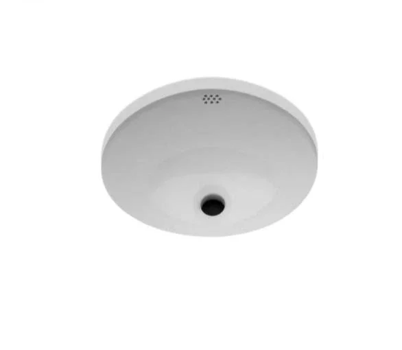 Waterworks Manchester Undermount Oval Vitreous China Lavatory Sink Single Glazed 20 1/2 ” x 17 ” x 8 ” in Cool White