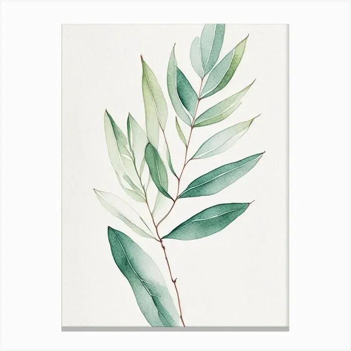 Wax Myrtle Leaf Minimalist Watercolour 1 Canvas PrintL& by Leaf & Stem Studio
