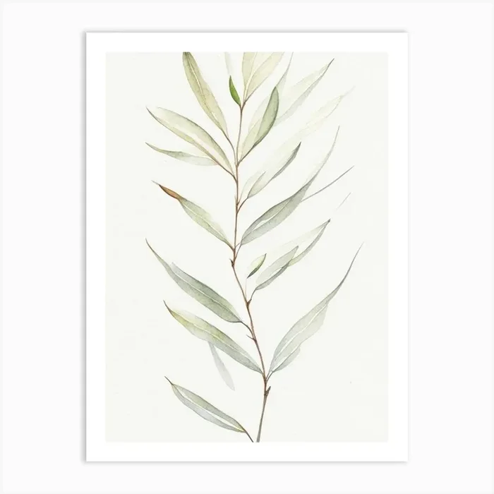 White Willow Leaf Minimalist Watercolour 2 Art PrintL& by Leaf & Stem Studio