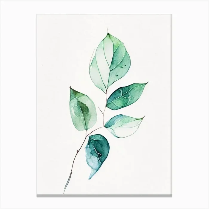 Wintergreen Leaf Minimalist Watercolour 3 Canvas PrintL& by Leaf & Stem Studio